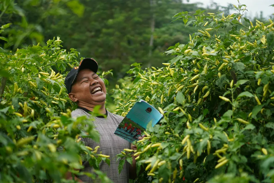 Petani komunitas